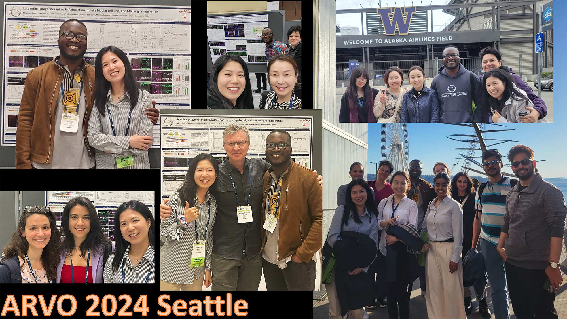 gallery lab-9 red.png