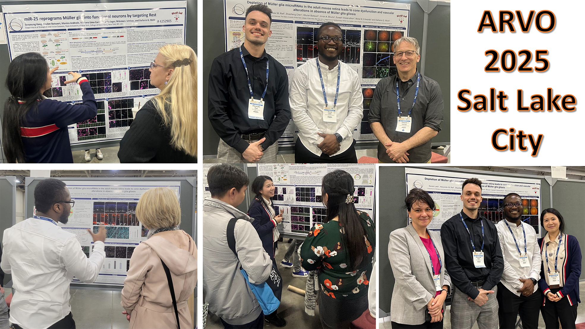 gallery lab-10 red.png