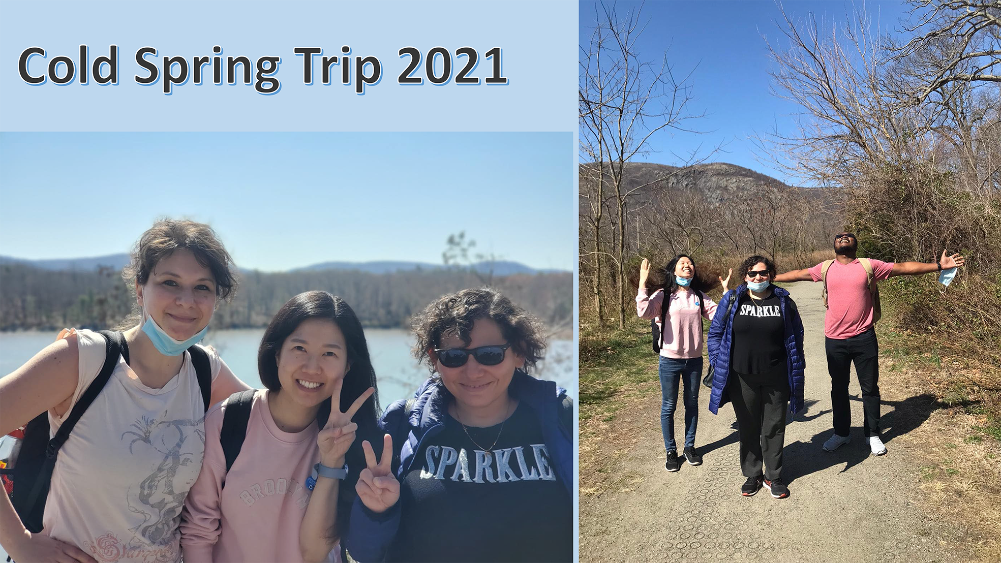 gallery lab-13 red.png