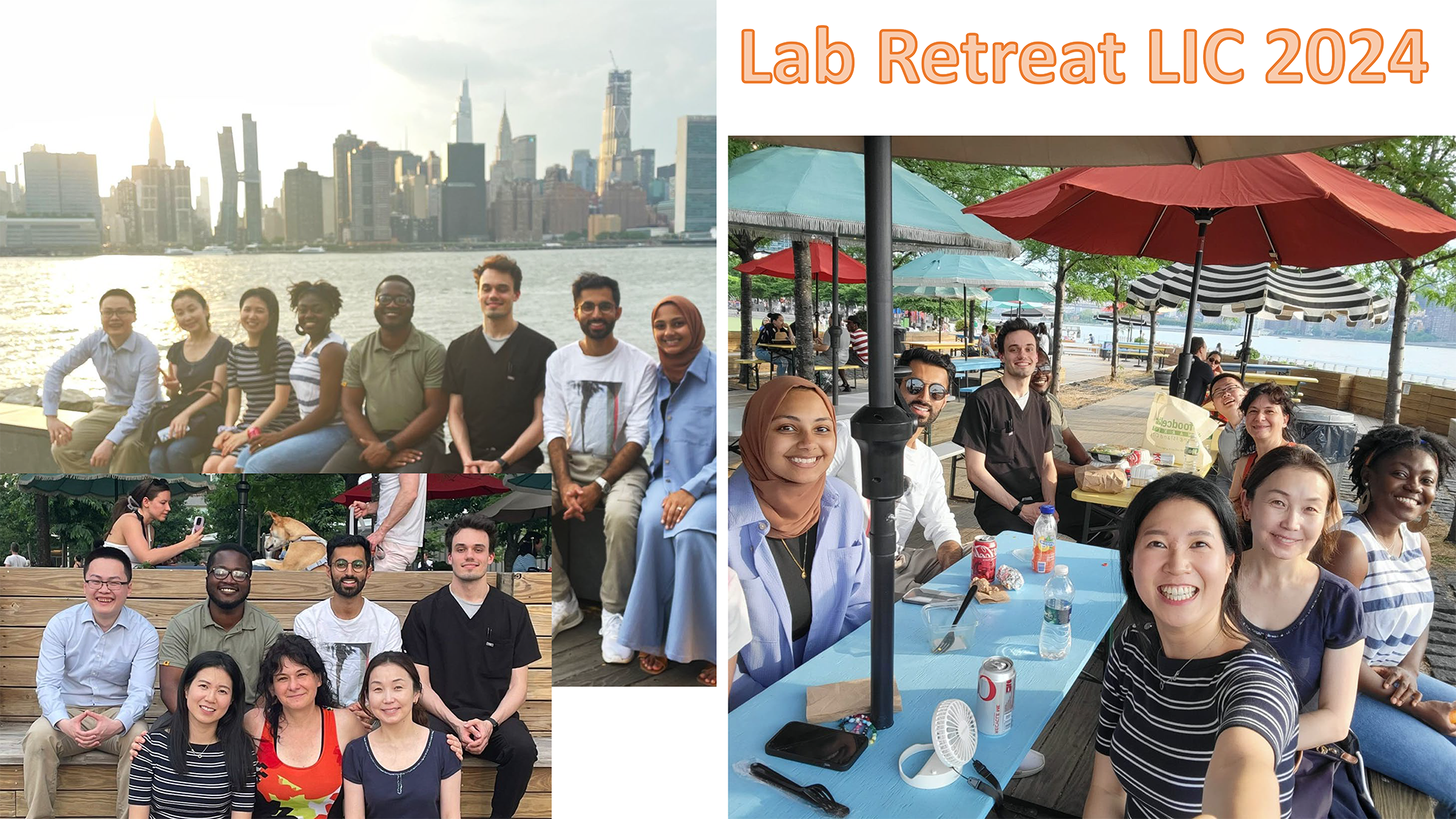 gallery lab-16 red.png