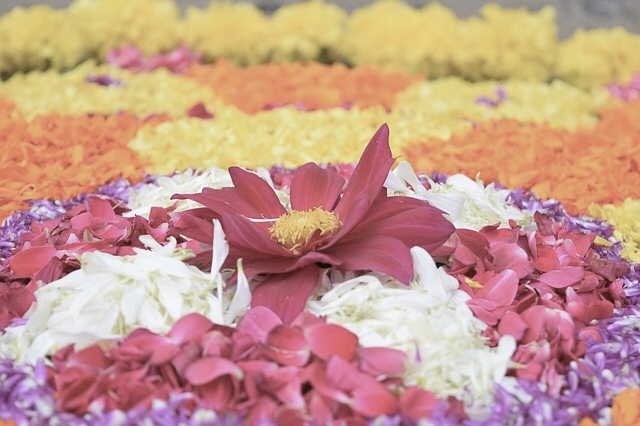 Onam Celebration