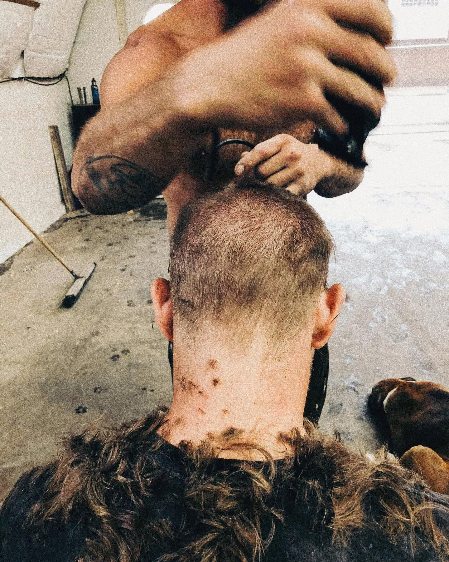 one stop shop (6/3/18)