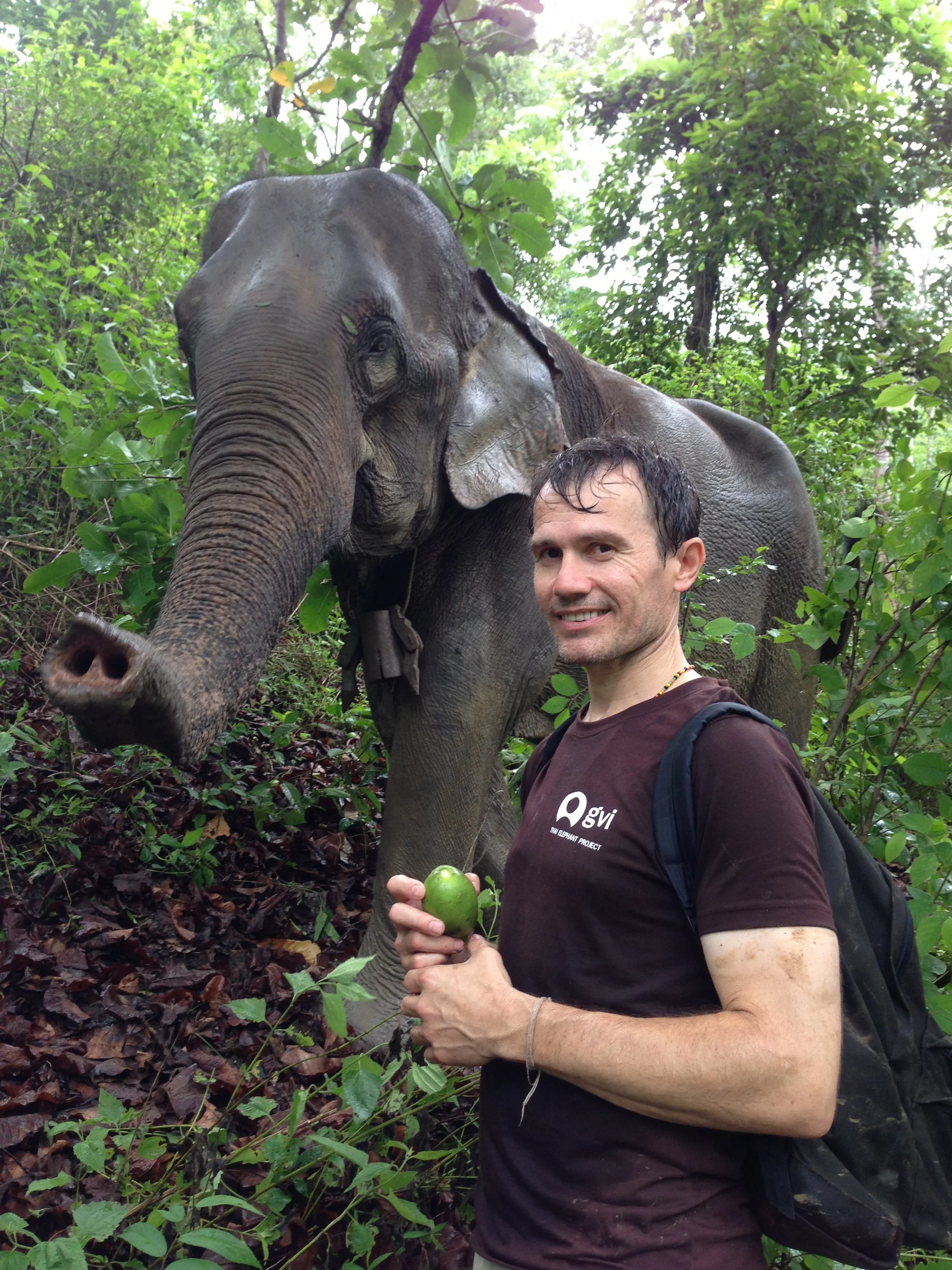 Introduction to Animal Communication Workshop (LIVE class).