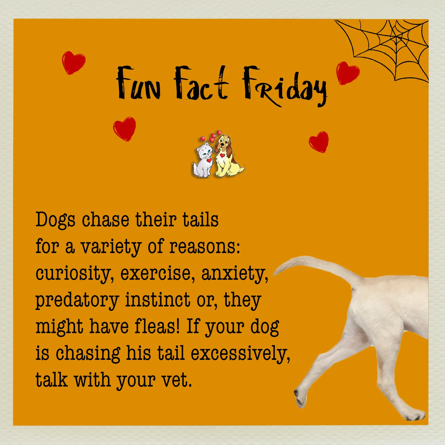 fun fact friday dog 2.jpg