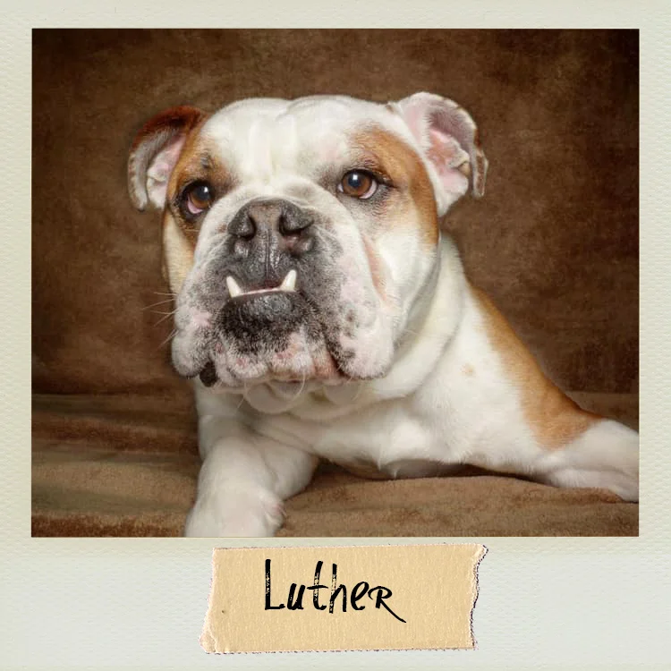 Luther copy.jpg