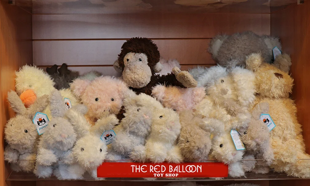 stuffed animal in balloon