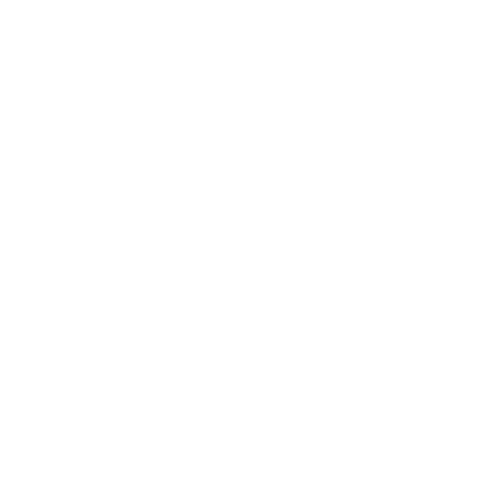 Biden Construction