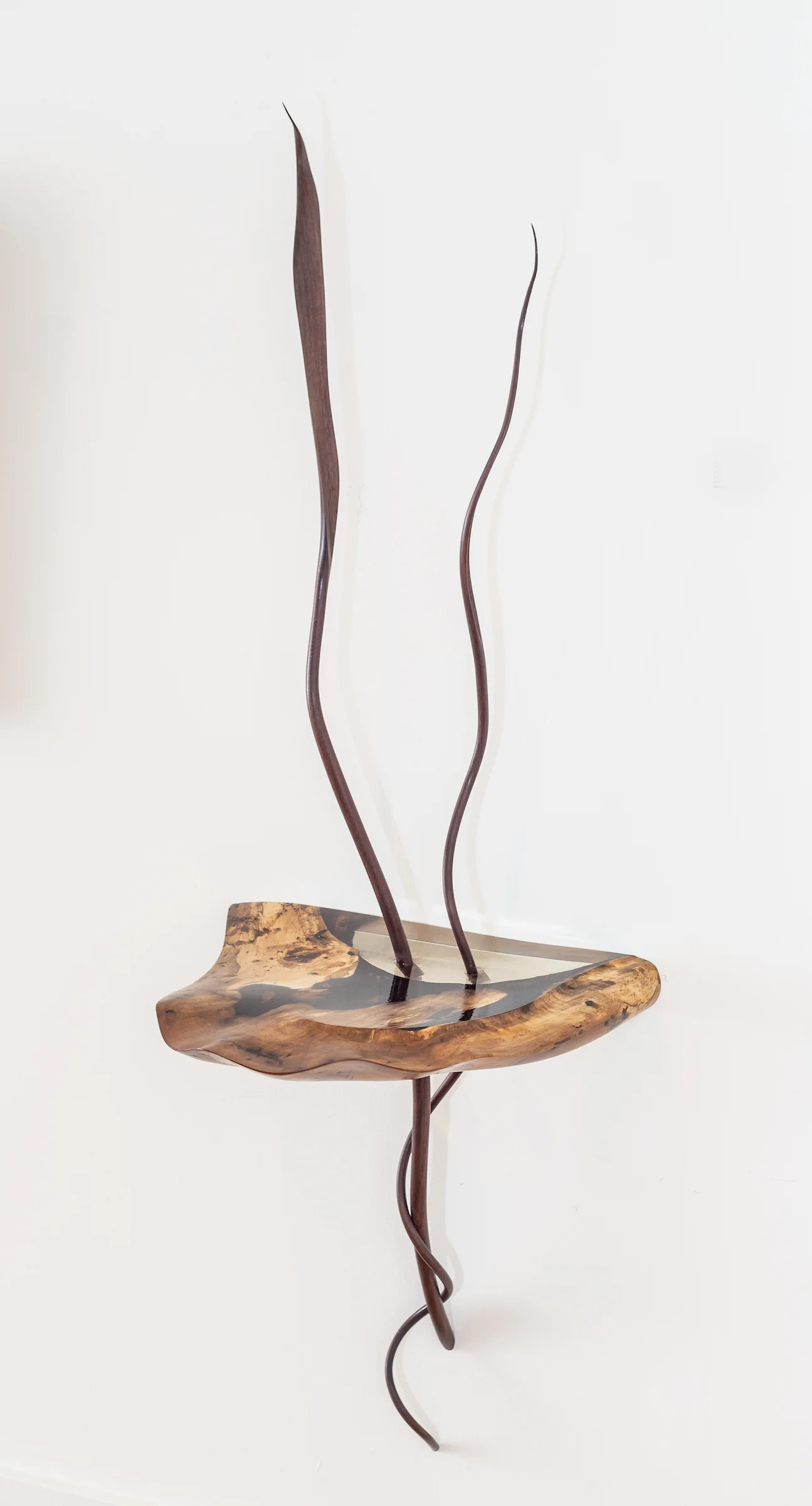 Antelope, 2018. English walnut, black walnut, acrylic