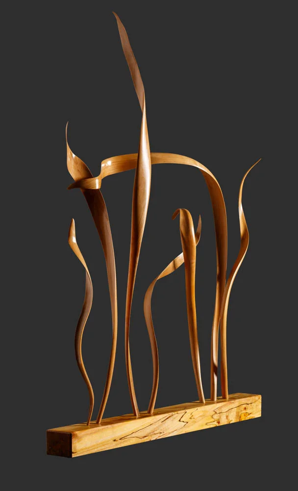 Reeds, 2006. Bent wood ash