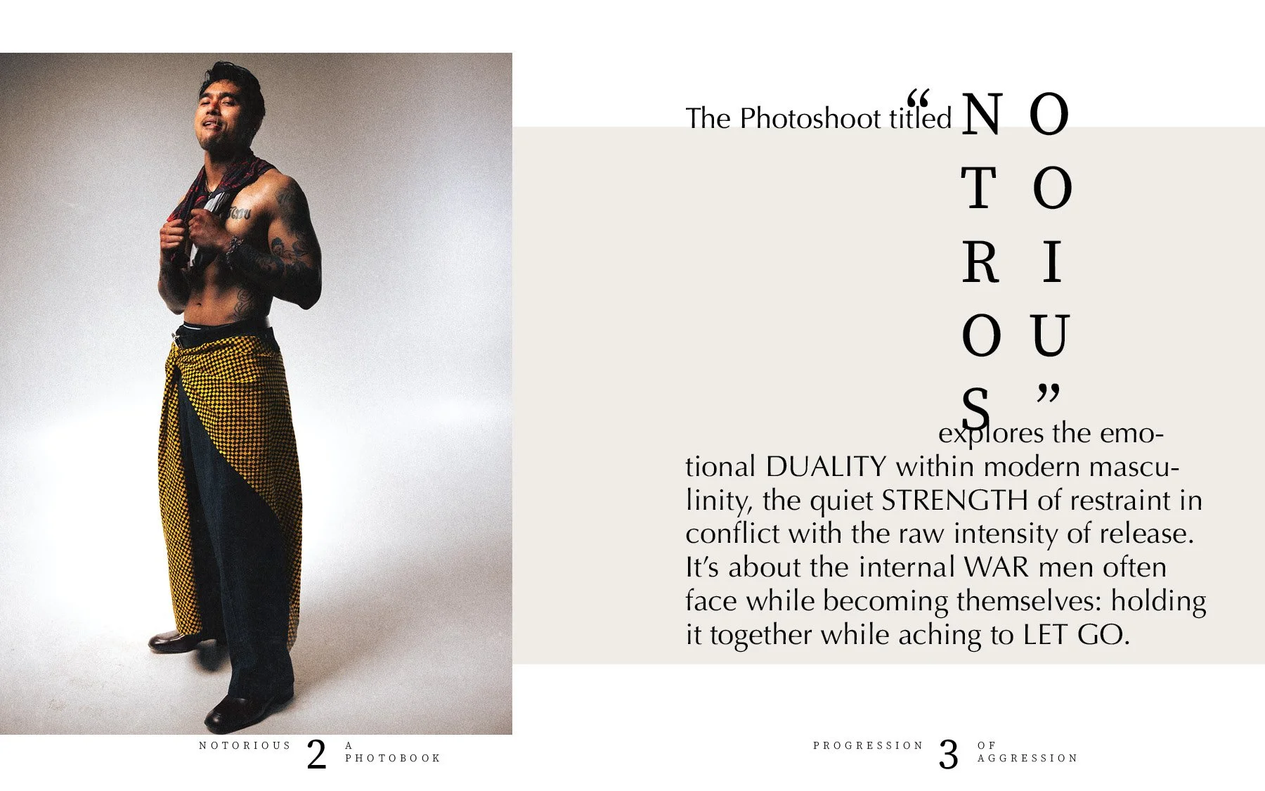 Notorious Photobook2.jpg