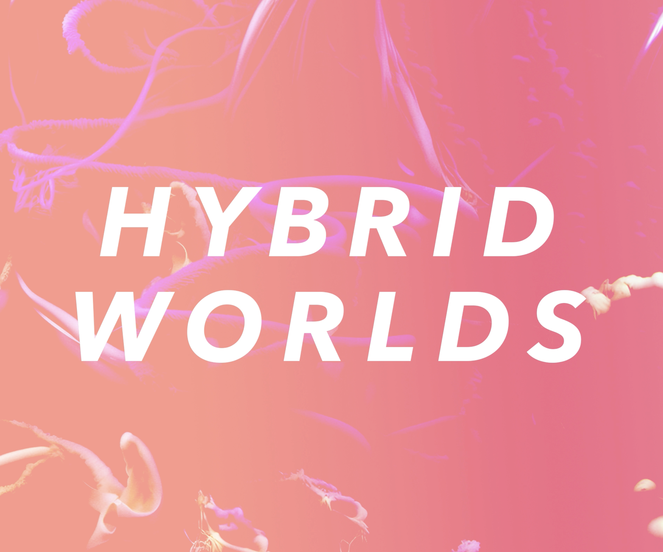 EXHIBITION HYBRID WORLDS