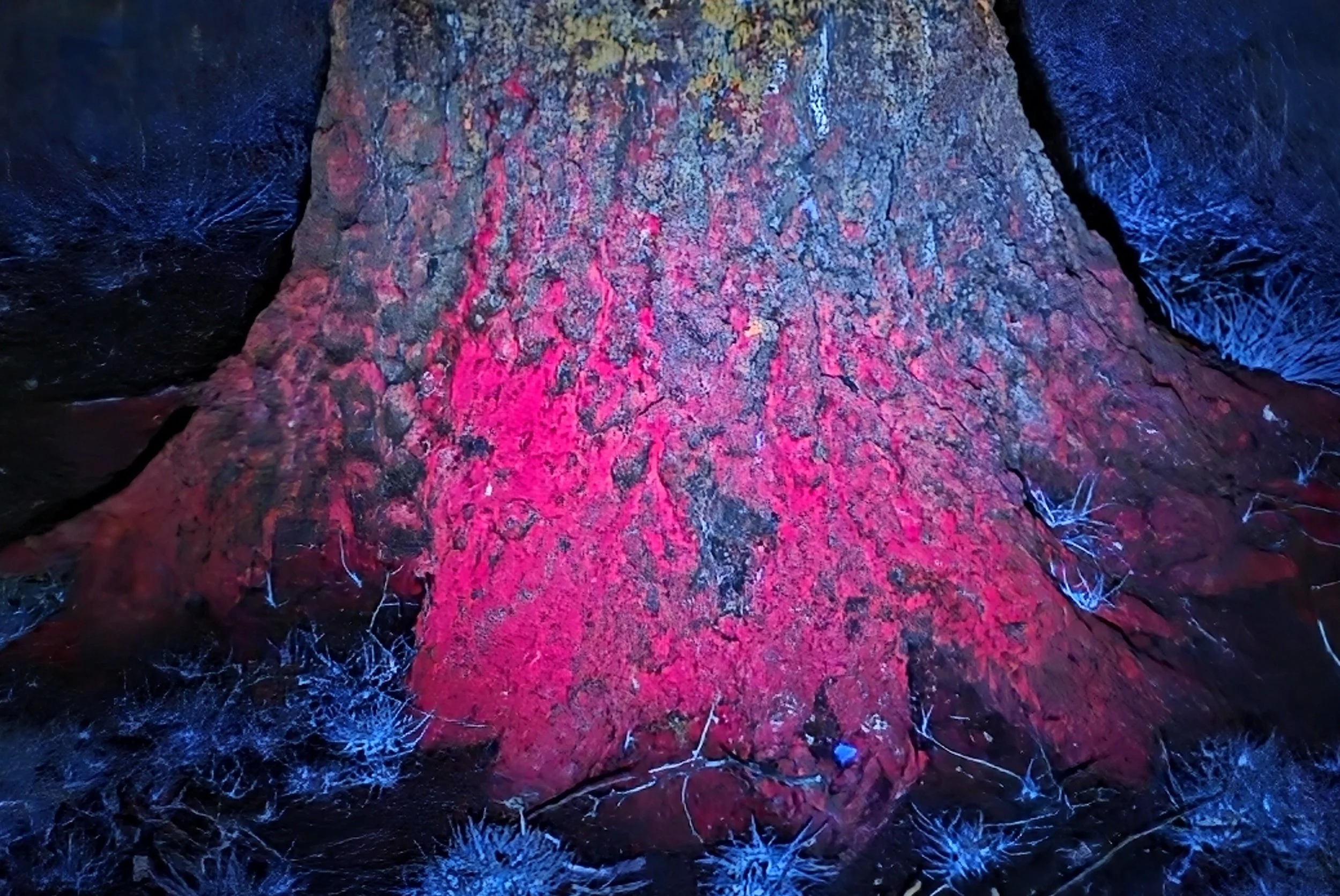 [DATE TBD] UV FLASHLIGHT PARTY at POST COMPLEX