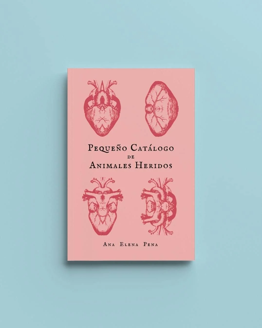 PORTADACATALOG.jpg