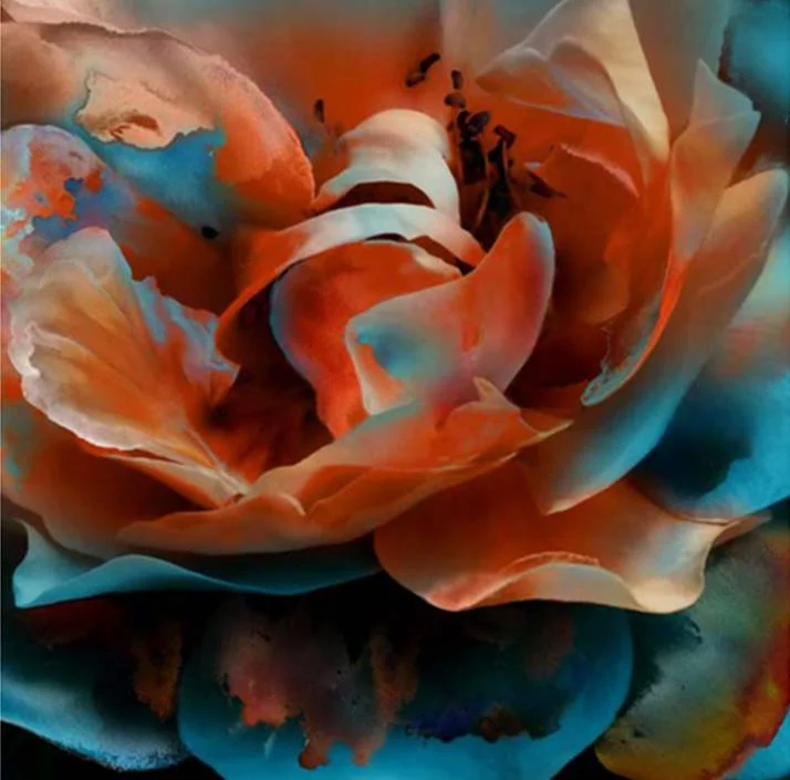 Flower Canvas.jpg