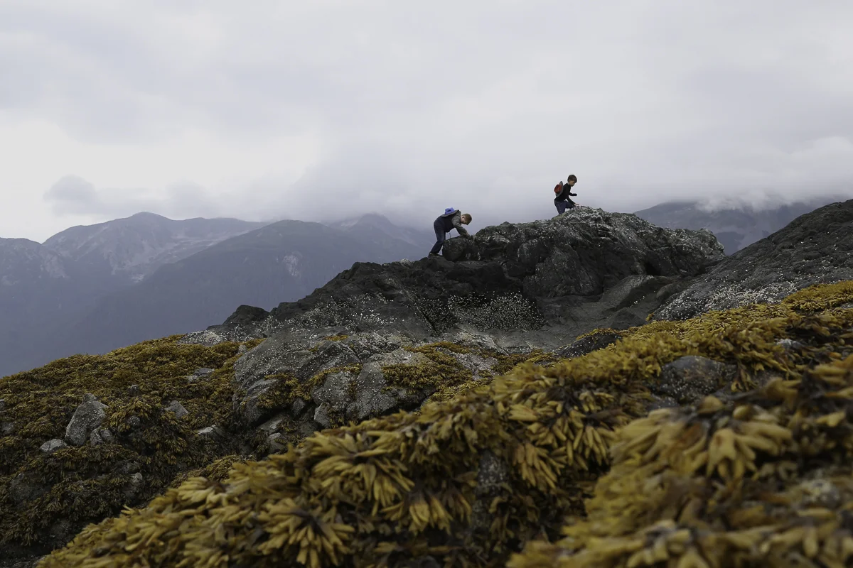 A WALK ON THE BEACH, Alaska 2014