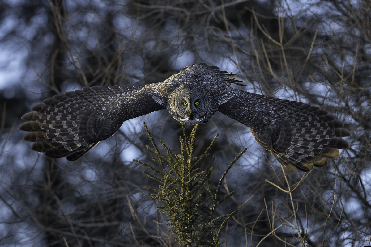 DIVE, Minnesota 2014