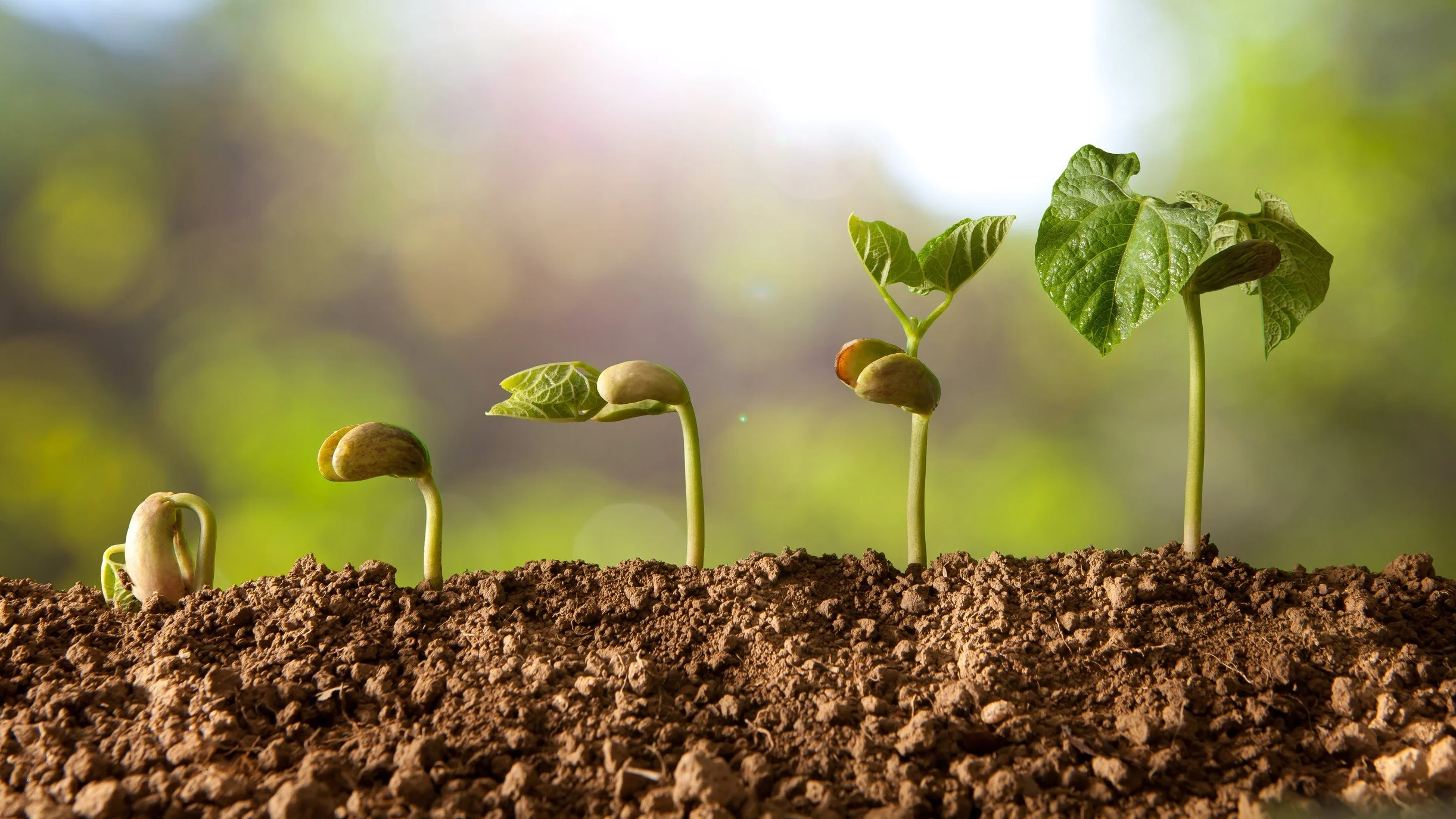 AdobeStock_114037609.jpg