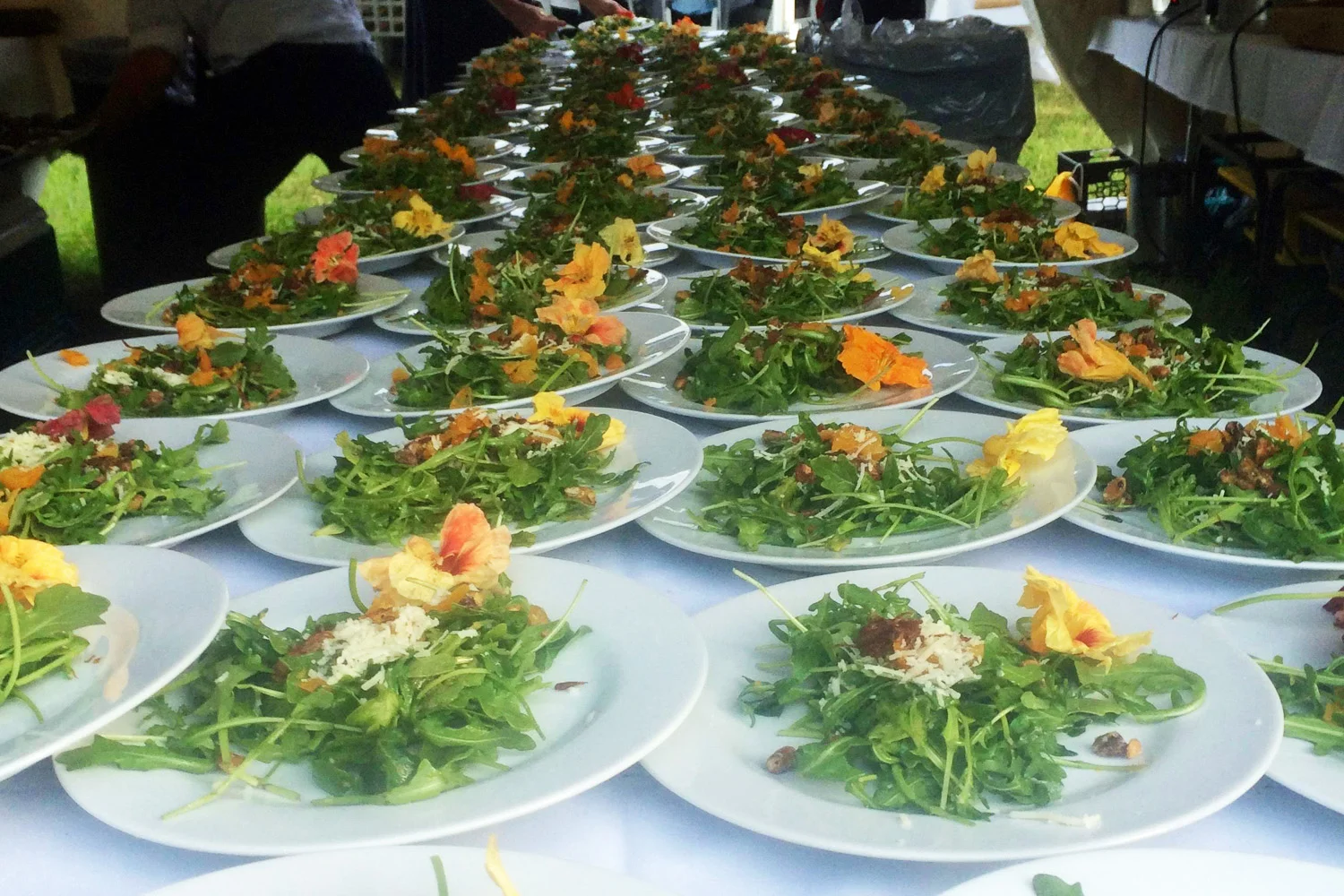 ARUGULA SALAD WITH PISTACHIOS, CRISPY SHALLOTS AND PECORINO ROMANO