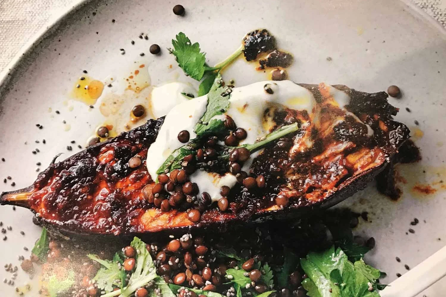 BURNT EGGPLANT WITH FRENCH LENTILS, CELERY TOPS AND TOMATO JAM