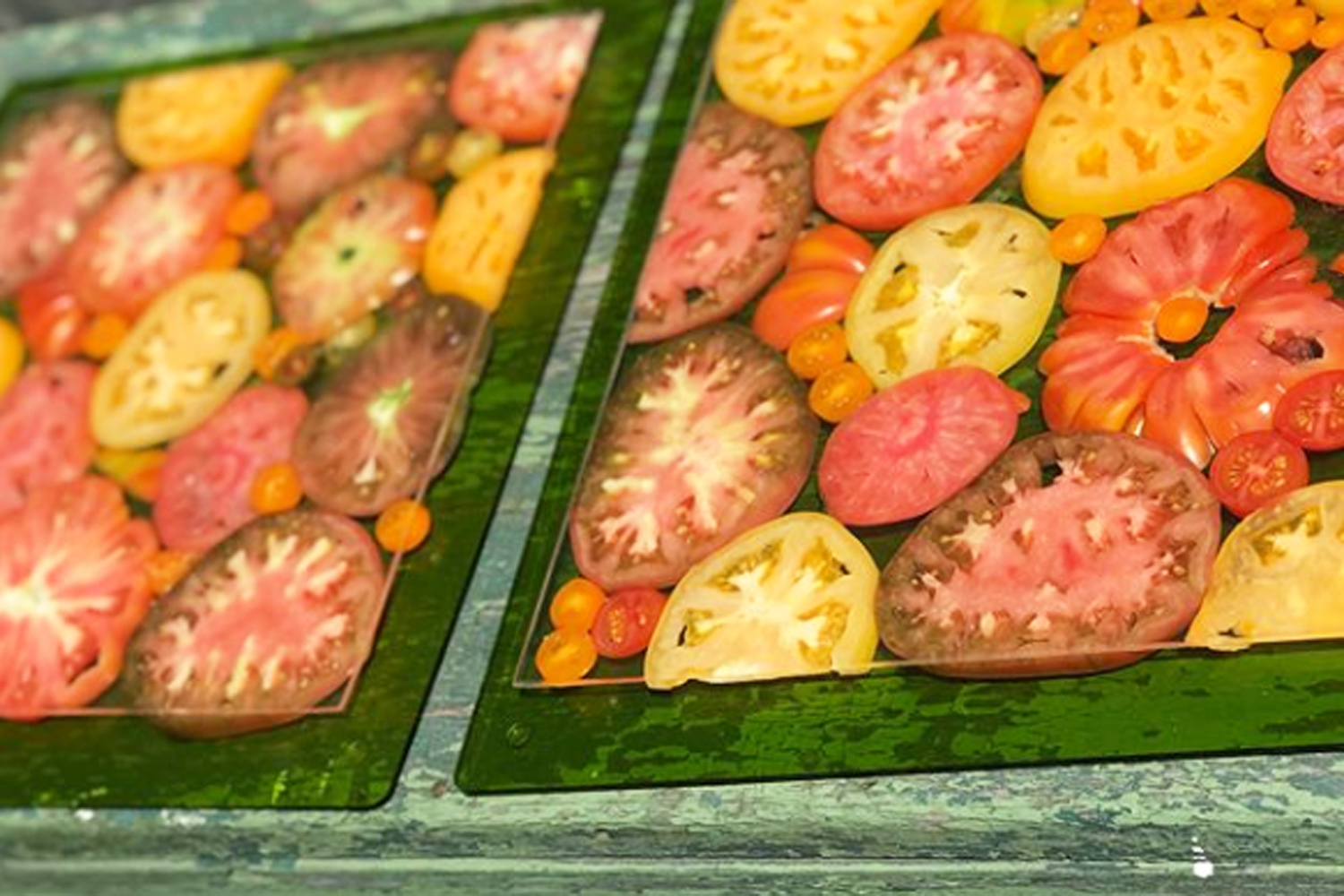 BED OF HEIRLOOMS
