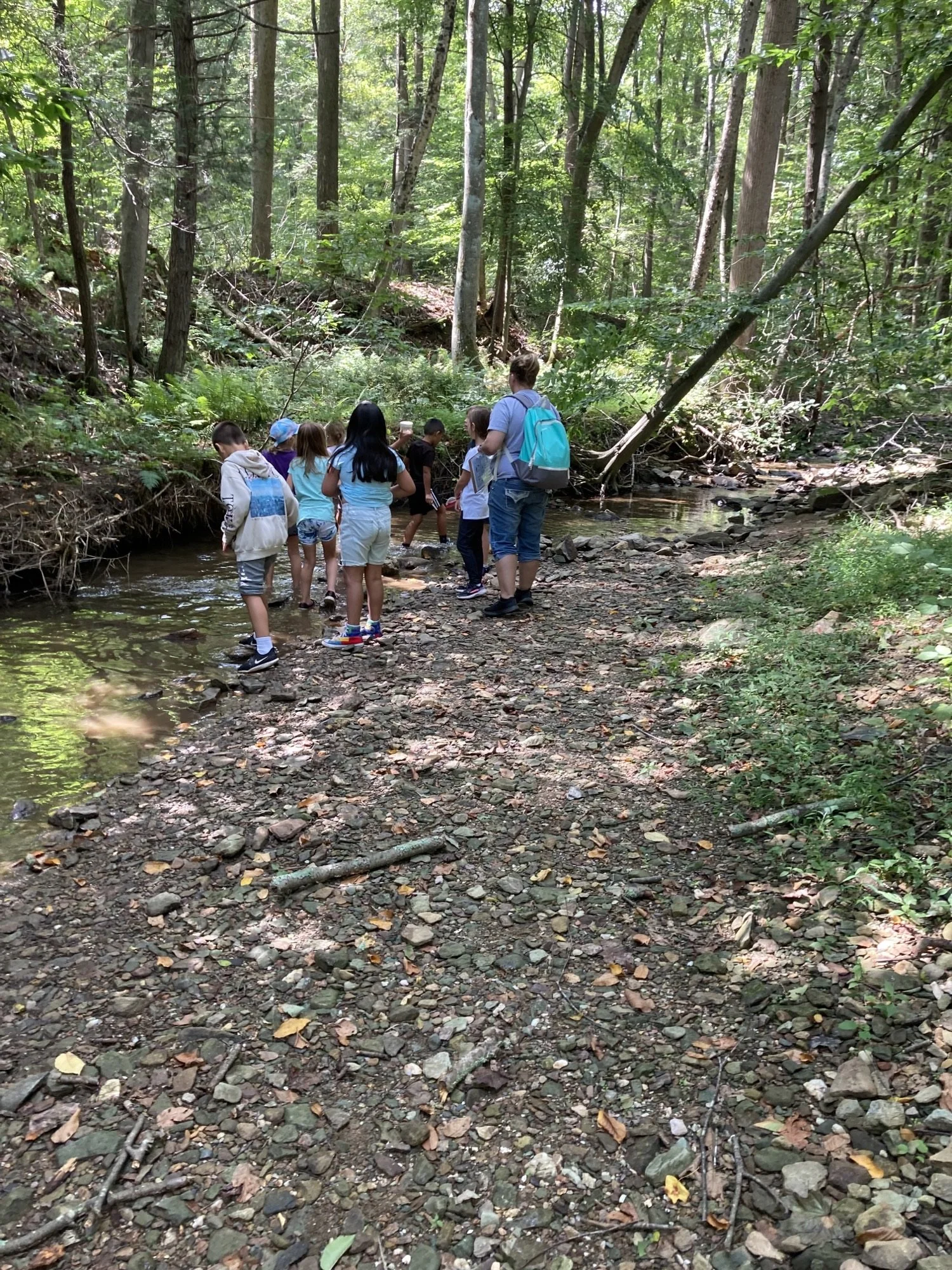 Homeschool Days - Citizen Science & Butterflies