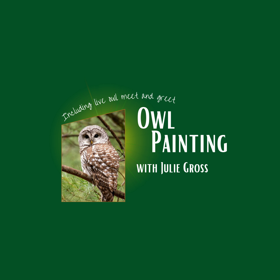 Owl Painting with Julie Gross