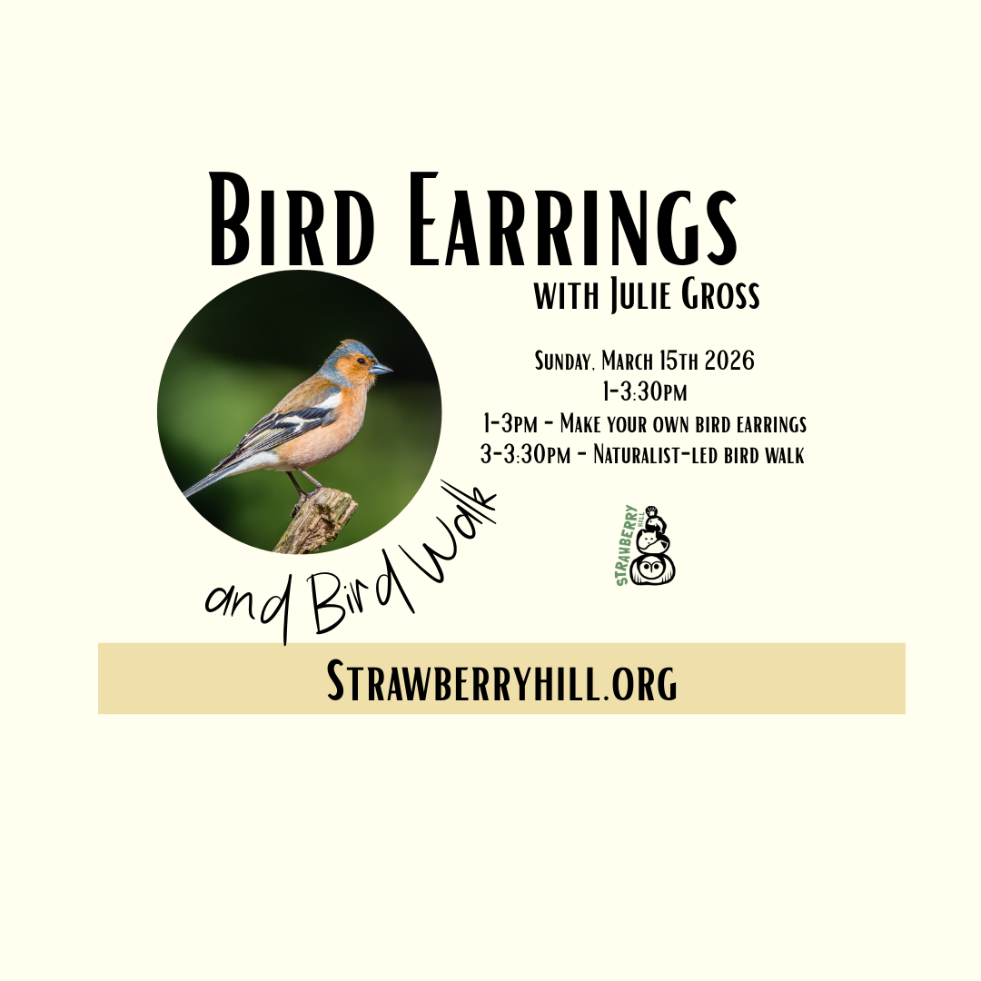 Bird Earrings &amp; Bird Walk with Julie Gross