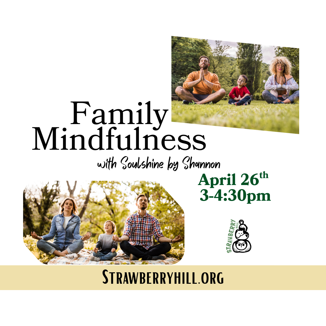 Family Mindfulness with Soulshine by Shannon