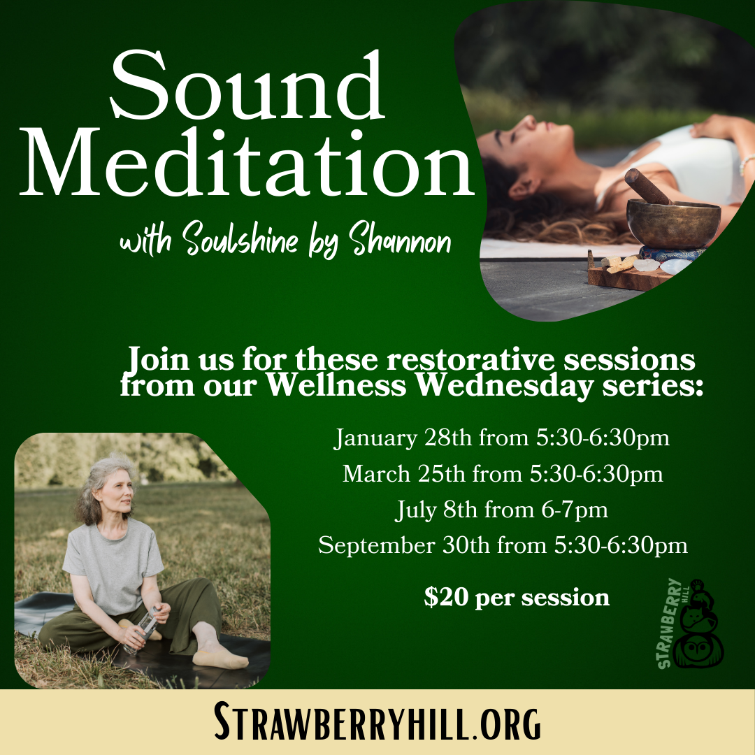 Sound Meditation with Soulshine by Shannon