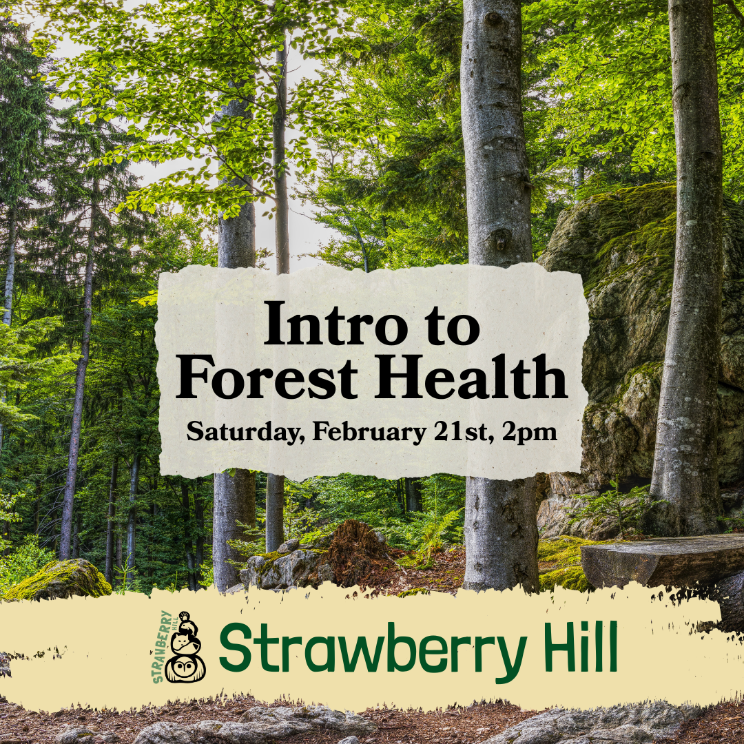 Intro to Forest Health 