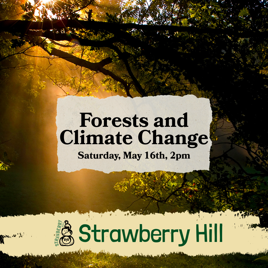 Forests and Climate Change