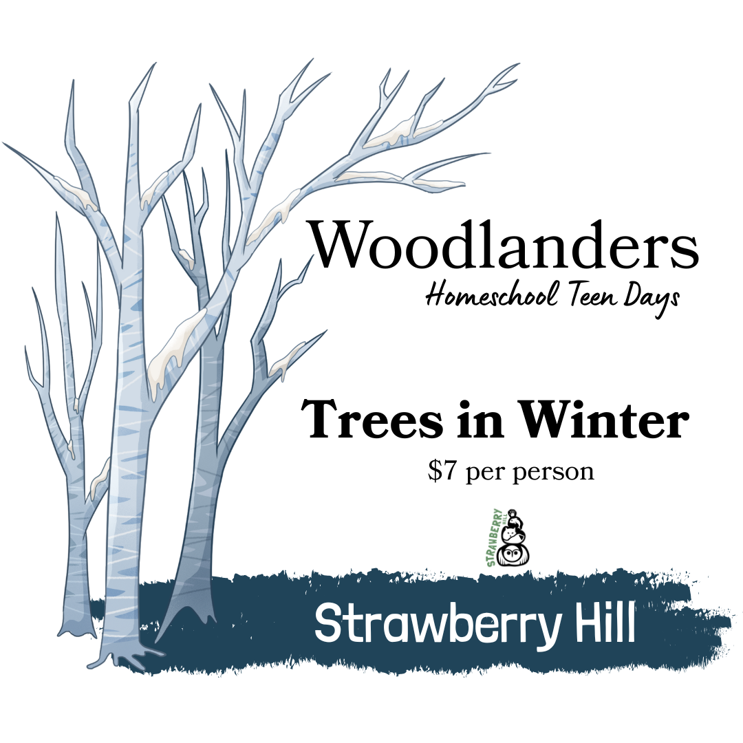 Woodlanders Homeschool Teen Days