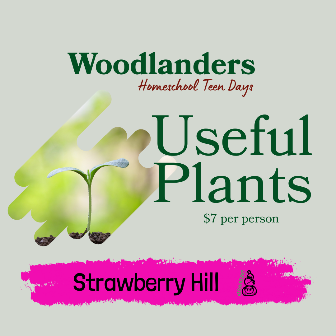 Woodlanders Homeschool Teen Days
