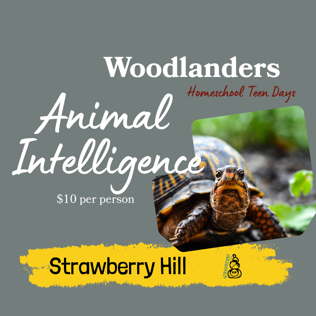 Woodlanders Homeschool Teen Days