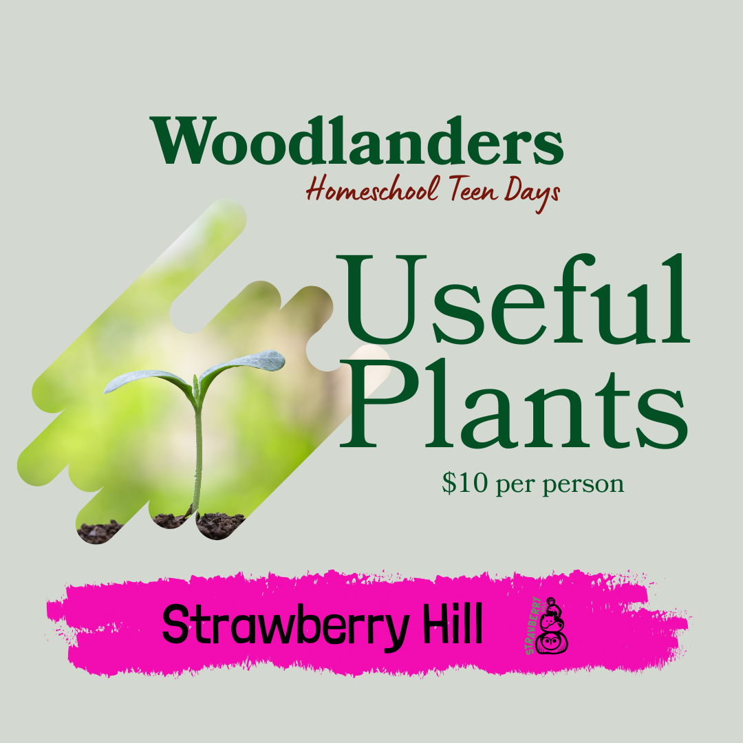 Woodlanders Homeschool Teen Days