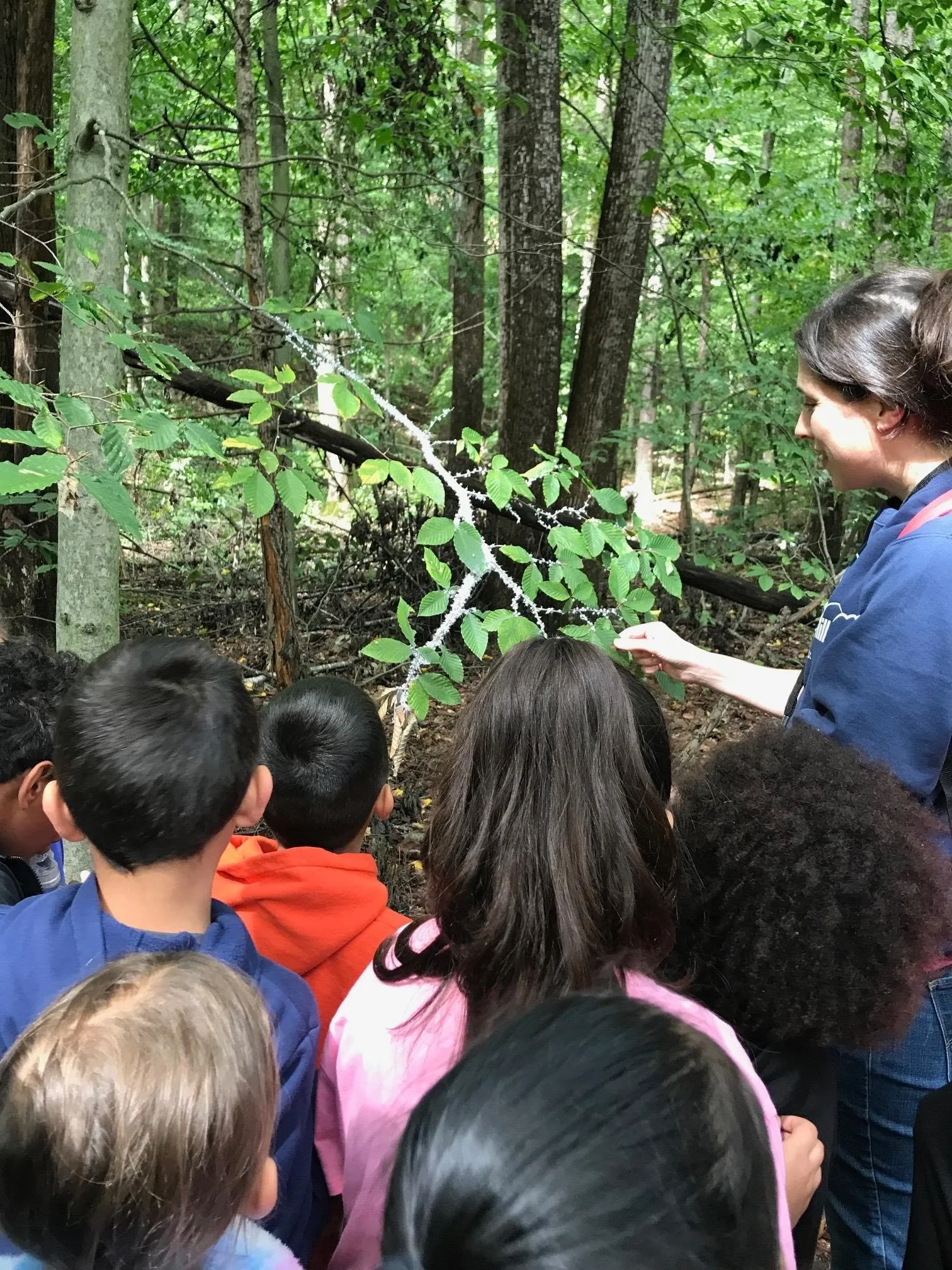 Amanda teaching2.jpg