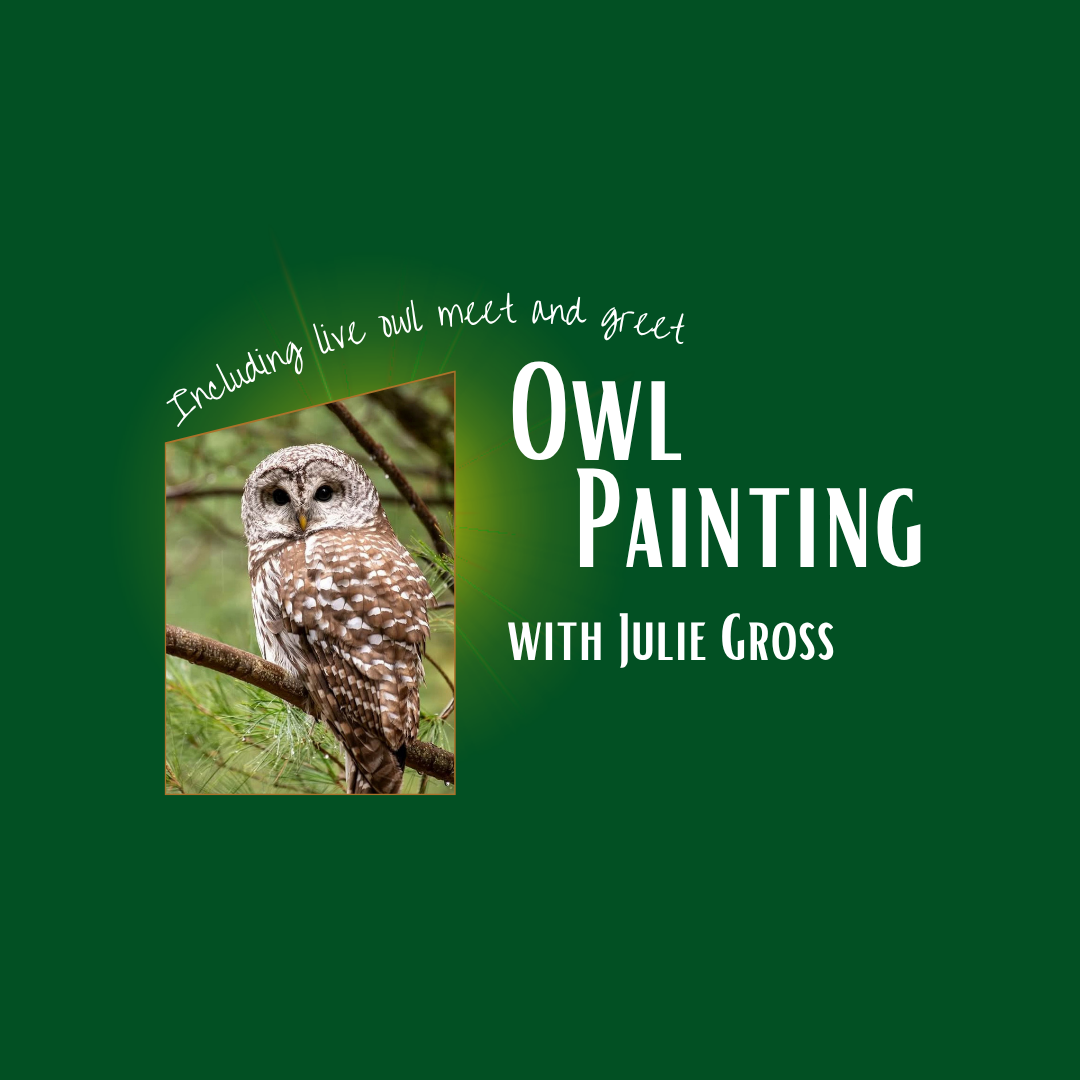 Owl Painting with Julie Gross