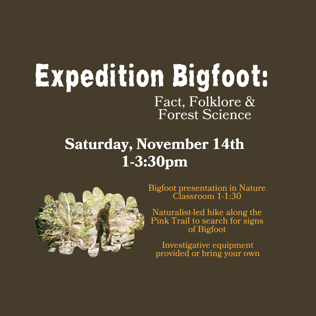 Expedition: Bigfoot