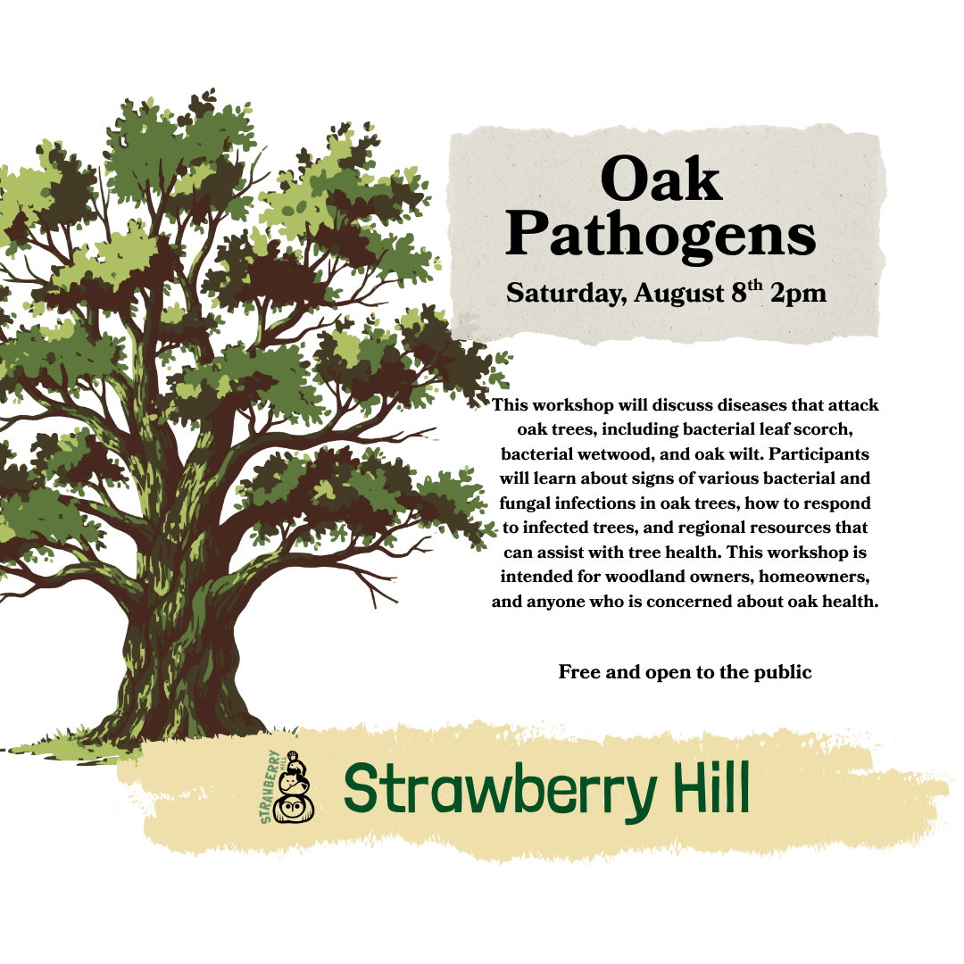 Oak Pathogens Workshop