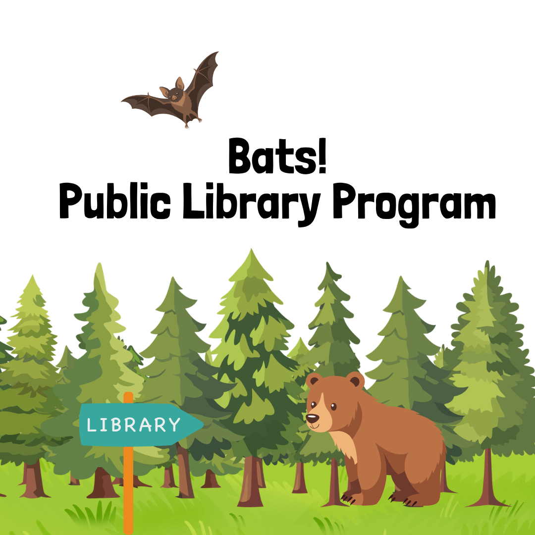 Bats! at Thurmont Library