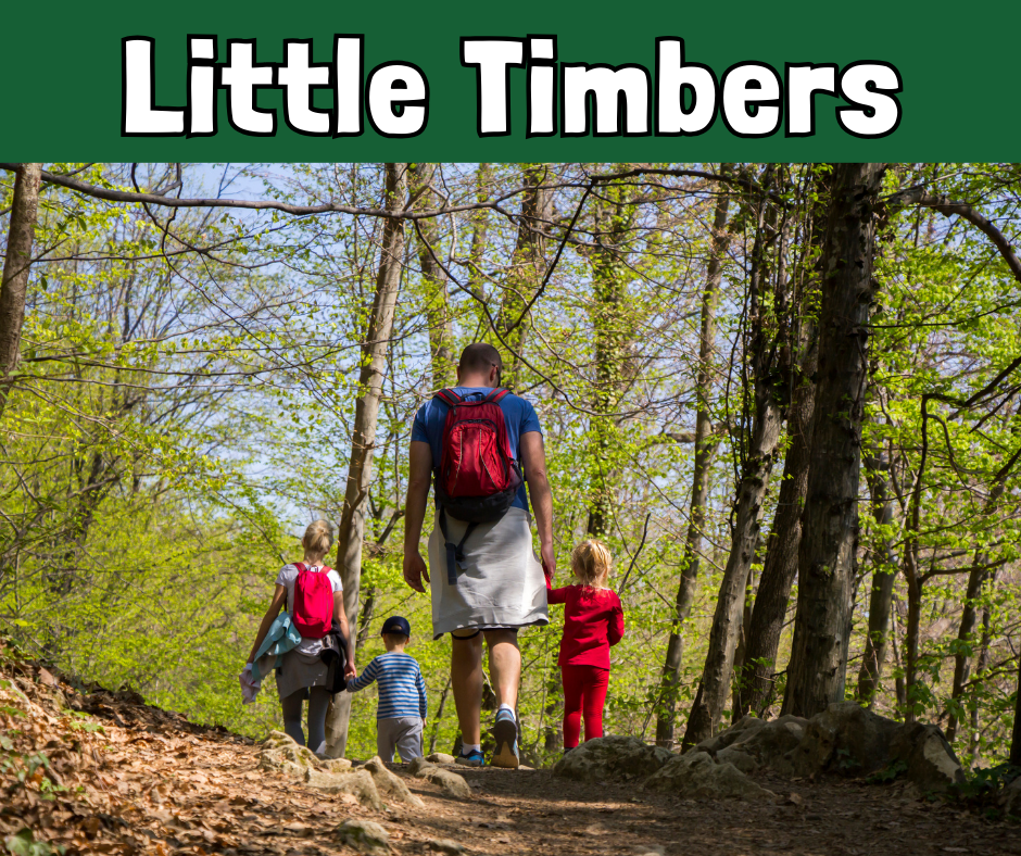Little Timbers
