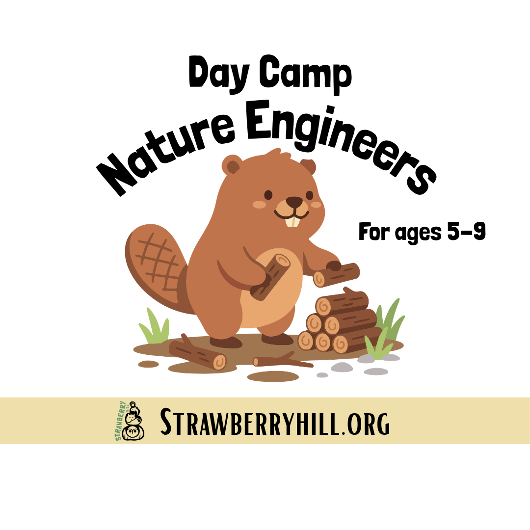 Day Camp - Nature Engineers