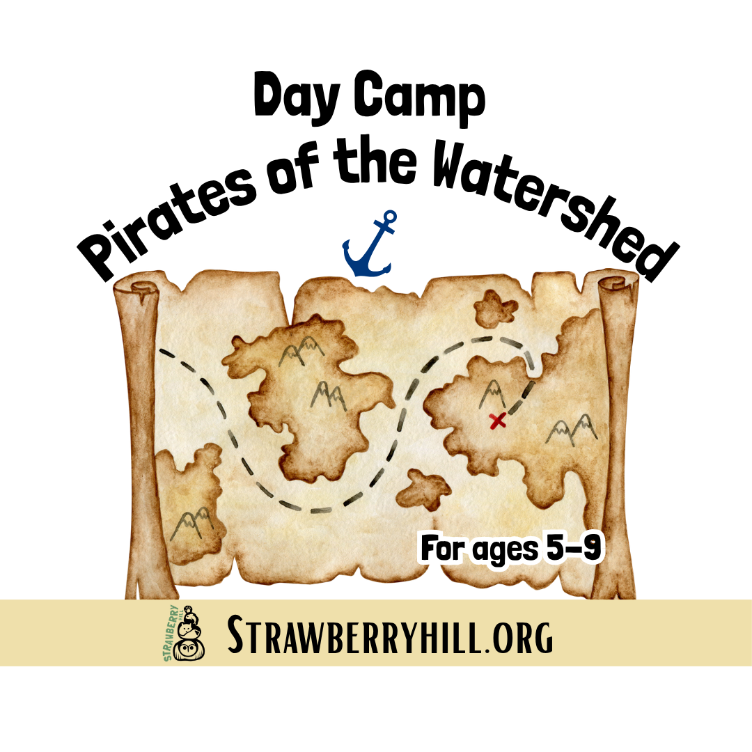 Day Camp - Pirates of the Watershed