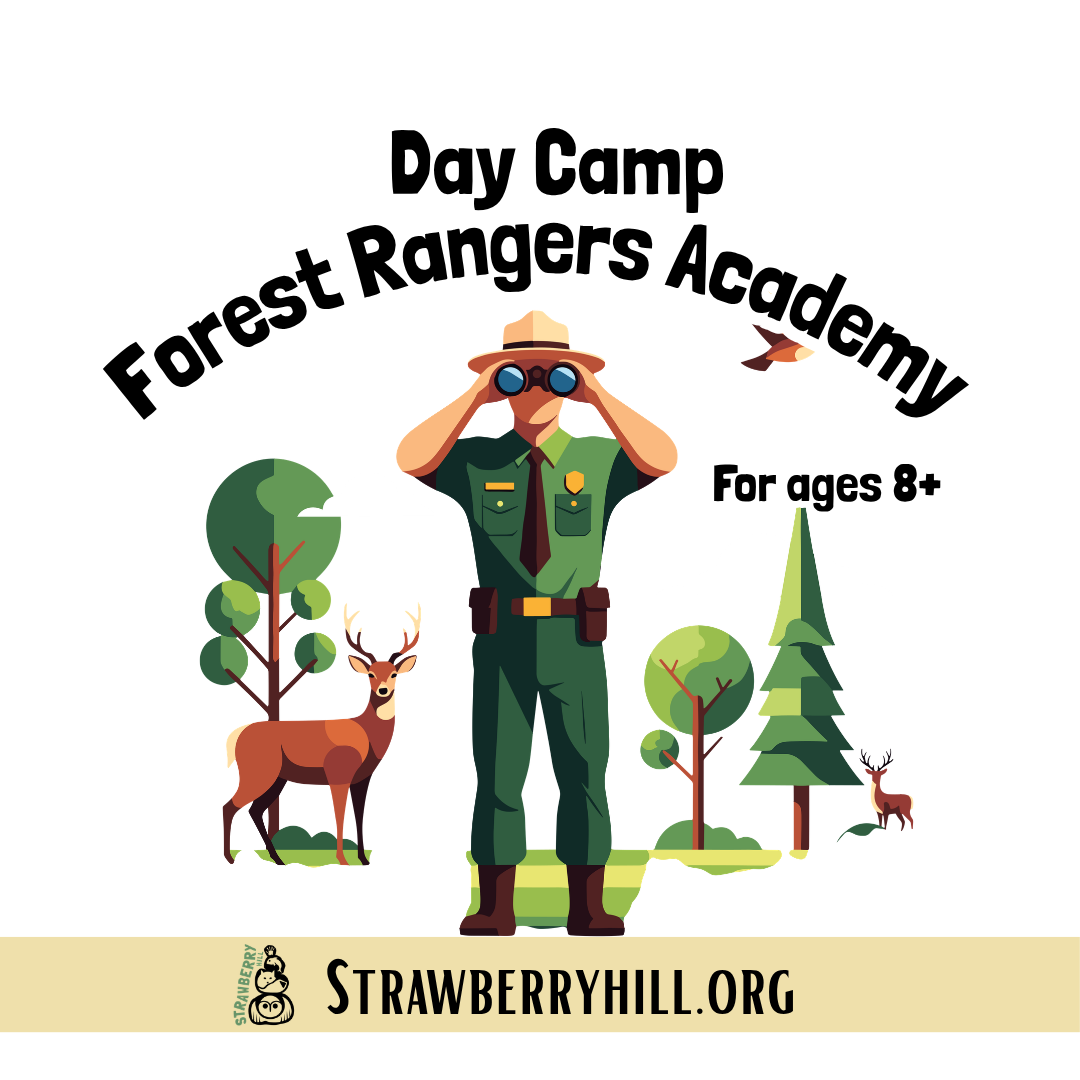 Day Camp - Forest Rangers Academy