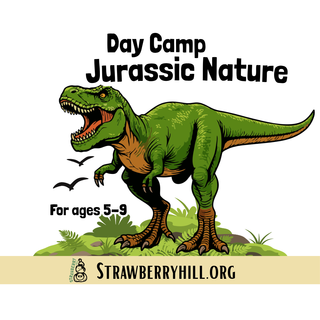 Day Camp - Jurassic Nature