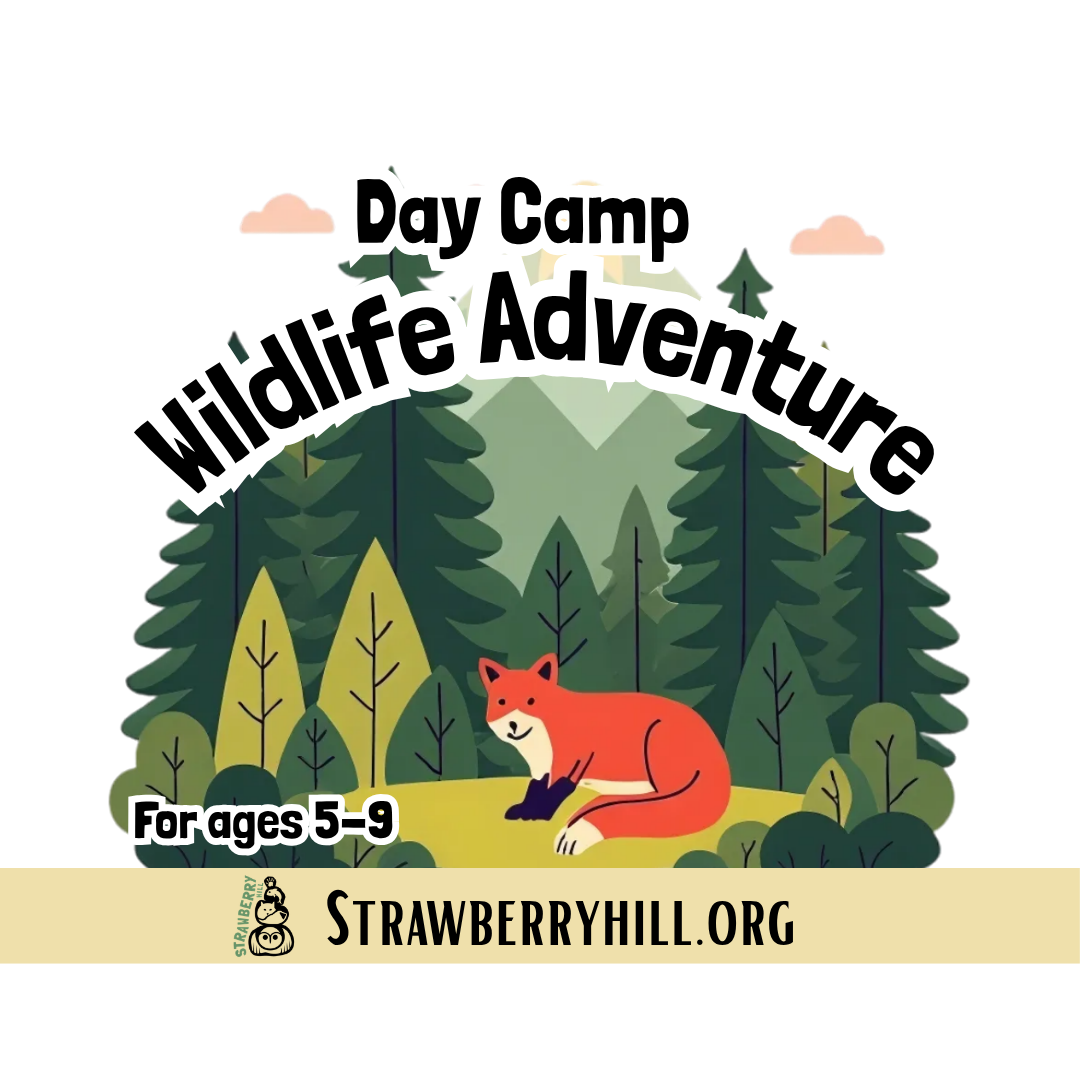 Day Camp - Wildlife Adventure