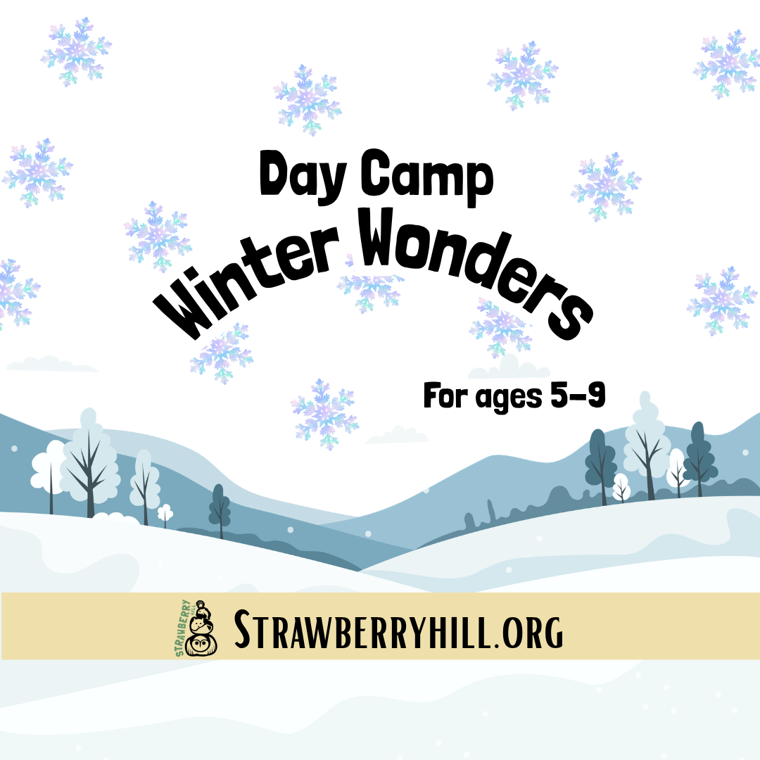 Day Camp - Winter Wonders