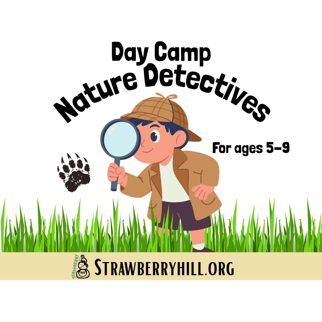 Day Camp - Nature Detectives