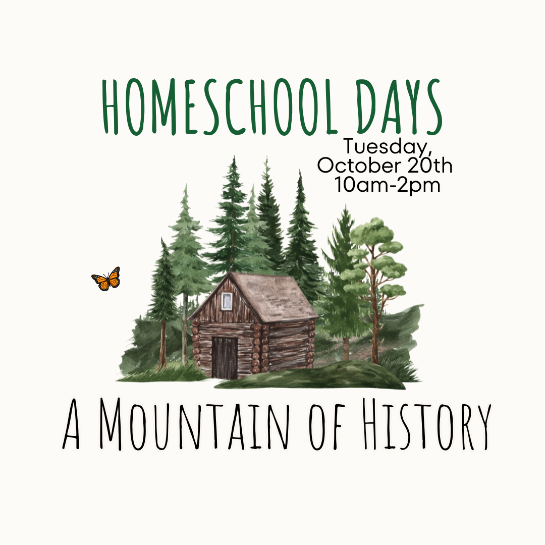 Homeschool Days - A Mountain of History