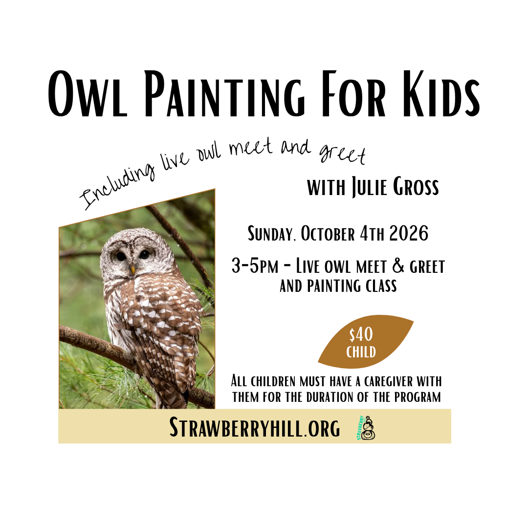 Owl Painting for Kids with Julie Gross